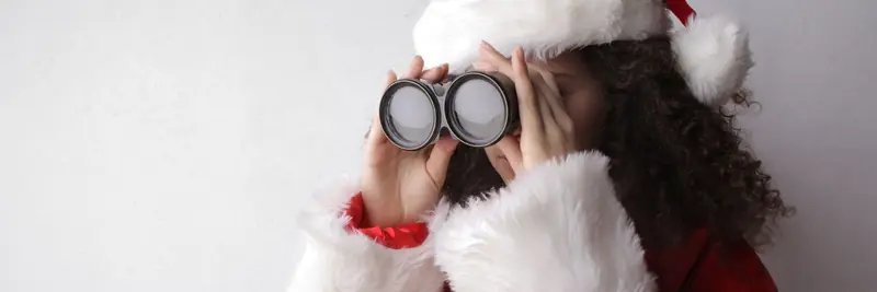 A person looking through binoculars toward the horizon